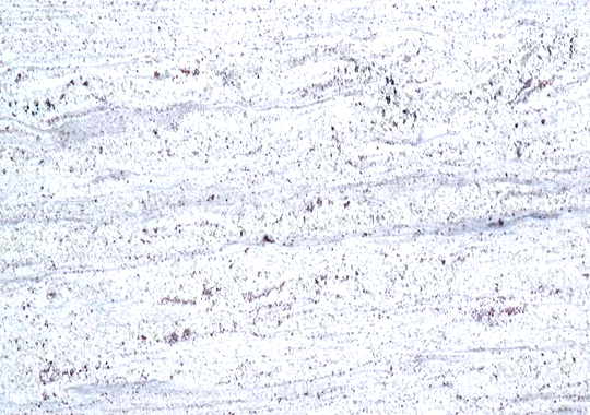 Khel Khilona Khel Khilona